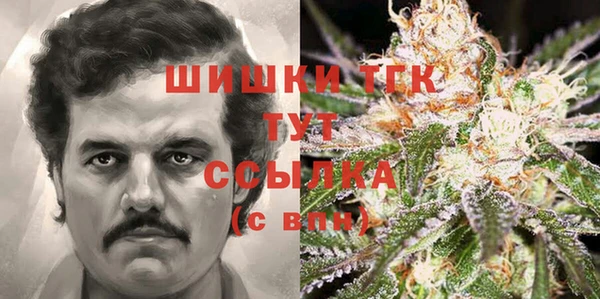 2c-b Алзамай