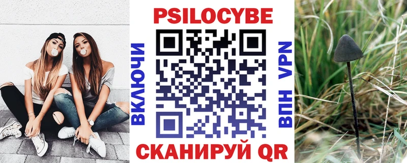 закладка  мега рабочий сайт  Галлюциногенные грибы мицелий  Нюрба 